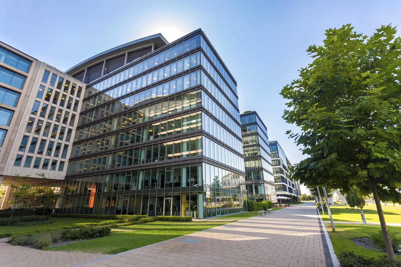 What to Expect from Professional Commercial Strata Management Services?