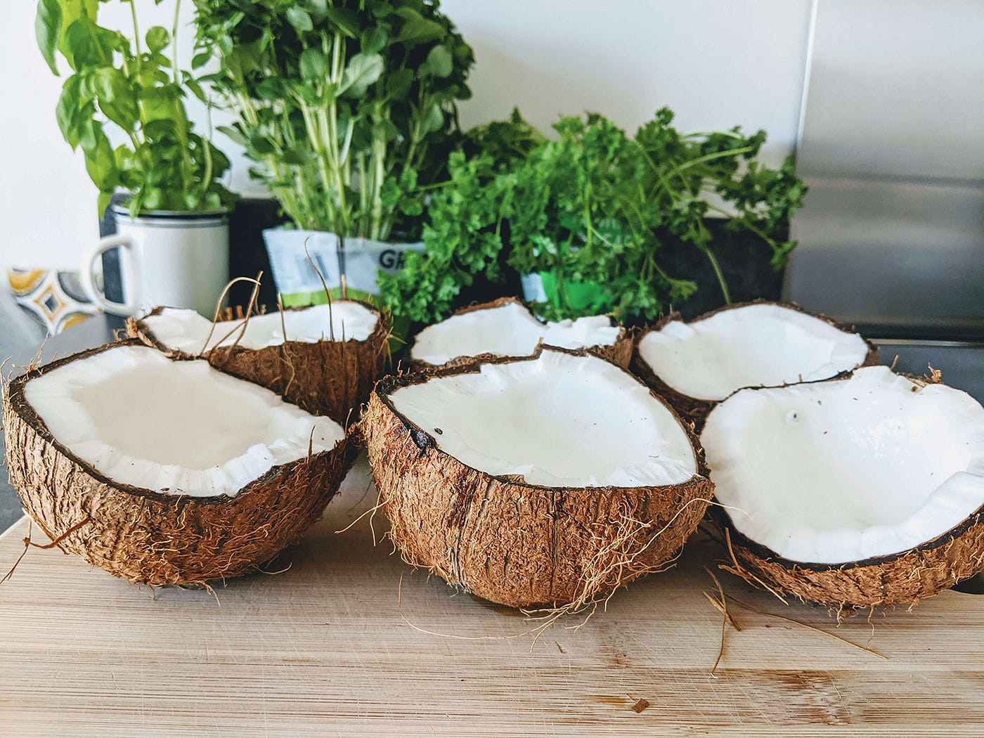 Easy, Cheap, and DIY-able Coconut Shell Planters