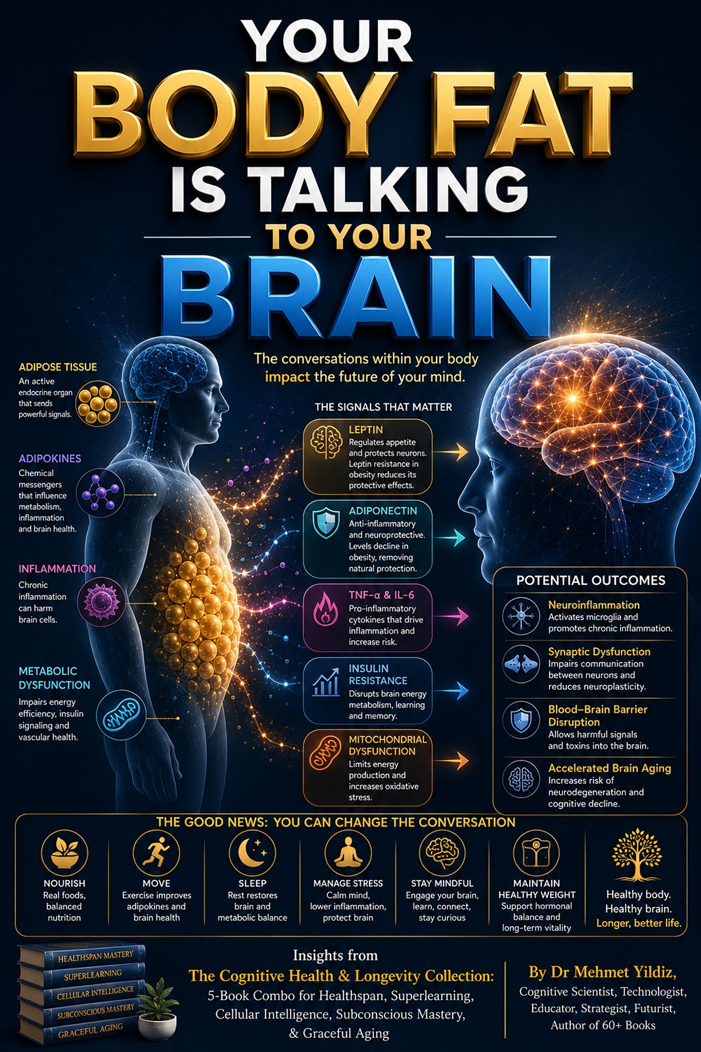Does Obesity Cause and Accelerate Brain Aging and Cognitive Decline?