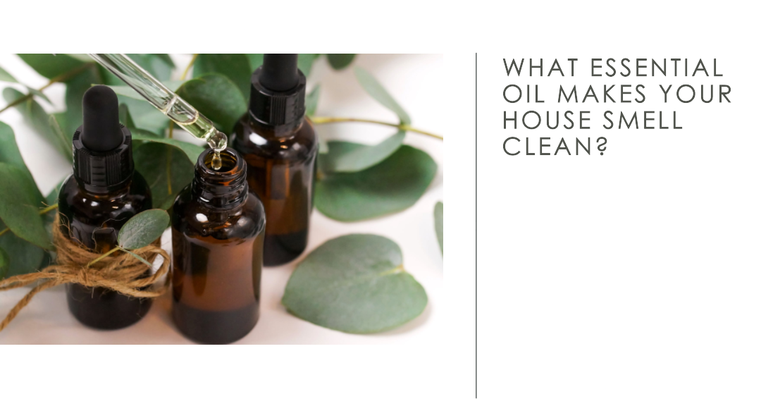 How to Clean Your Home with Essential Oils: A Beginner's Guide | by ECOBOO  - Change wasteful habits for zerowaste life | Medium