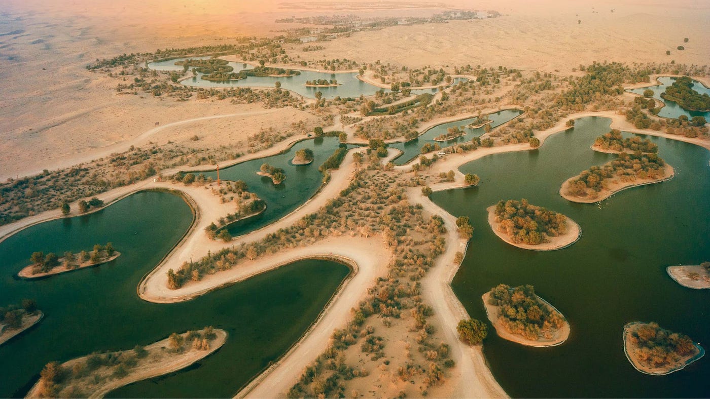 All About Al Qudra Lake Dubai. Al Qudra Lake: History Behind Its… | by  Captain Dunes | Medium
