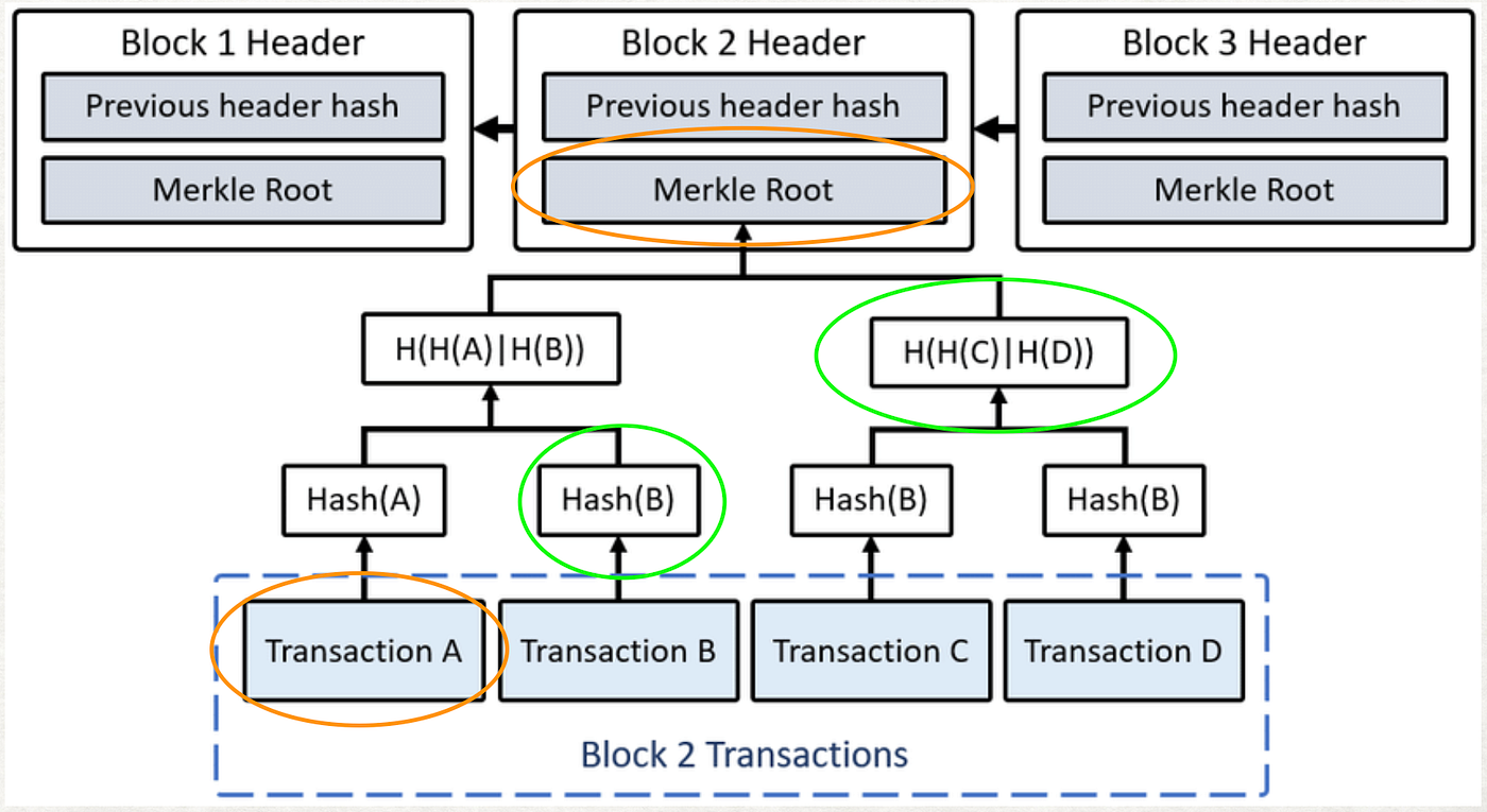 Sparse Merkle Tree 的優點及用途. 本文將介紹Sparse Merkle Tree（以下簡稱… | by Nic Lin |  Taipei Ethereum Meetup | Medium