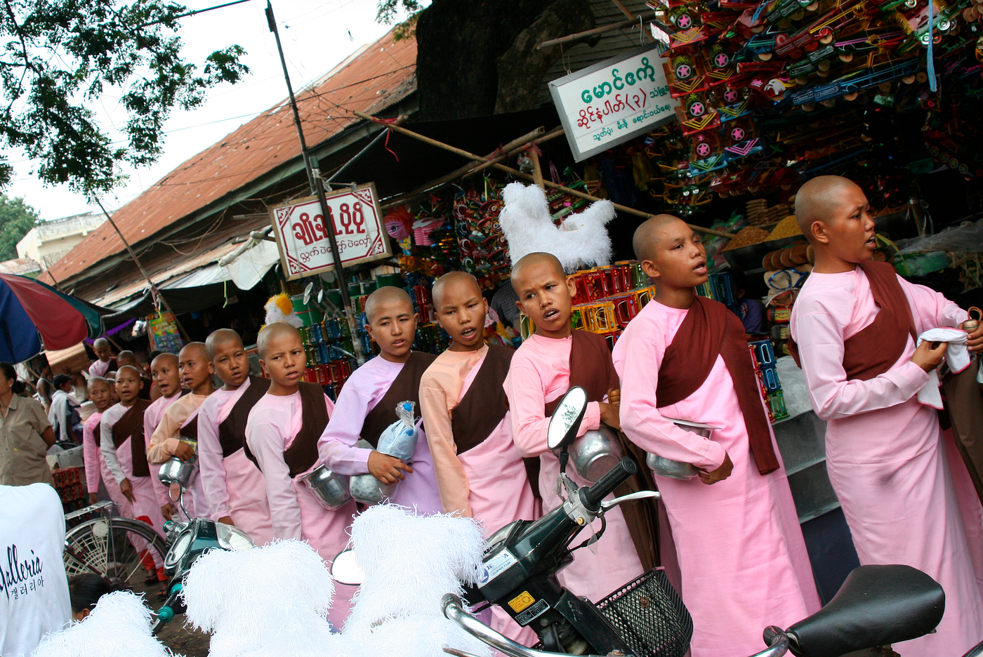 The Golden Triangle of Buddhist Nuns