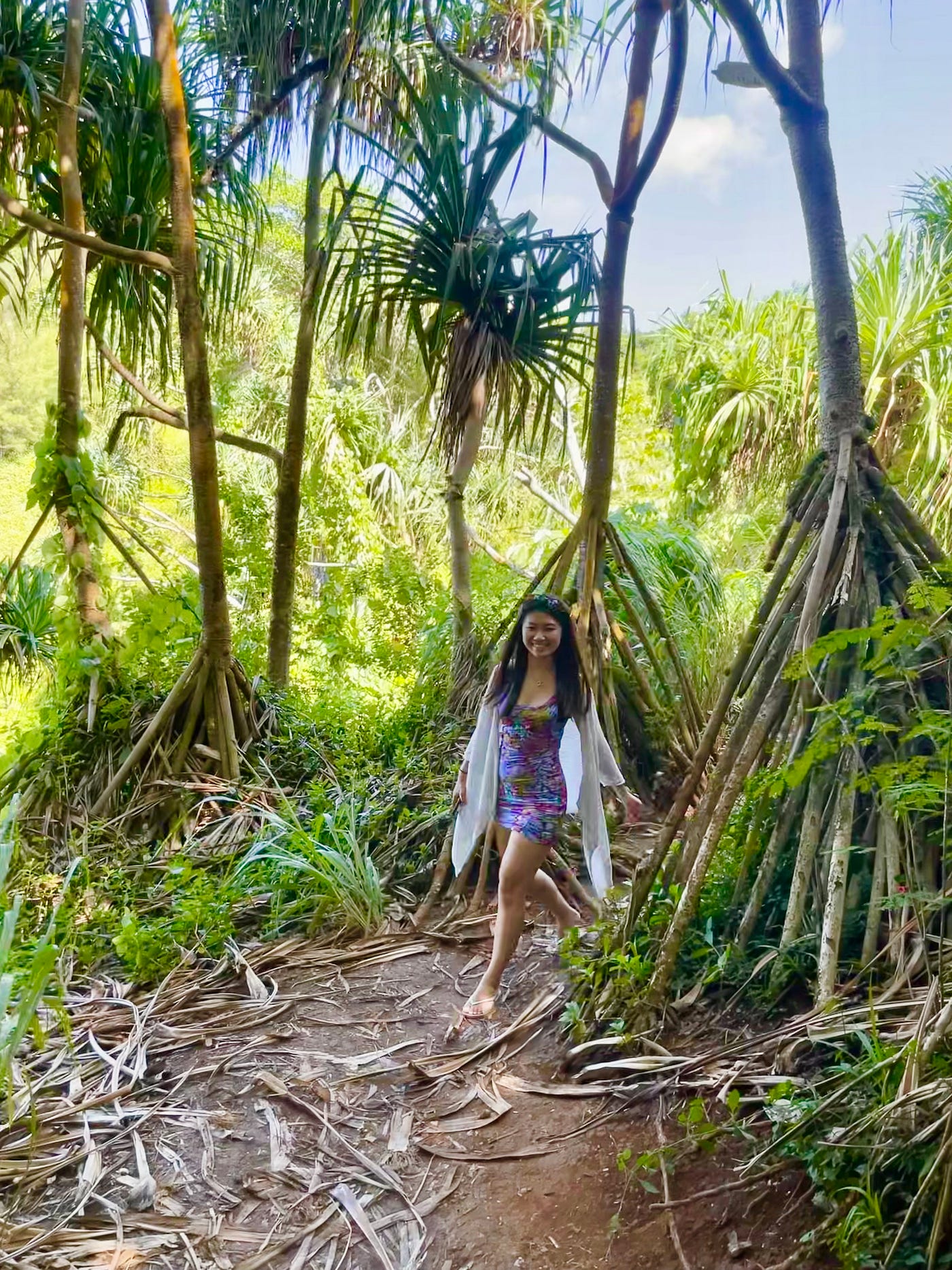 千萬別去夏威夷可愛島Kauai！ | Medium