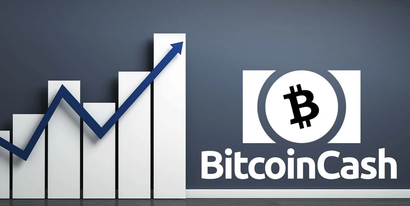 Bitcoin Cash: The Rising Star in the Crypto Market | by Mogaland. Financial  Wellbeing! | Medium
