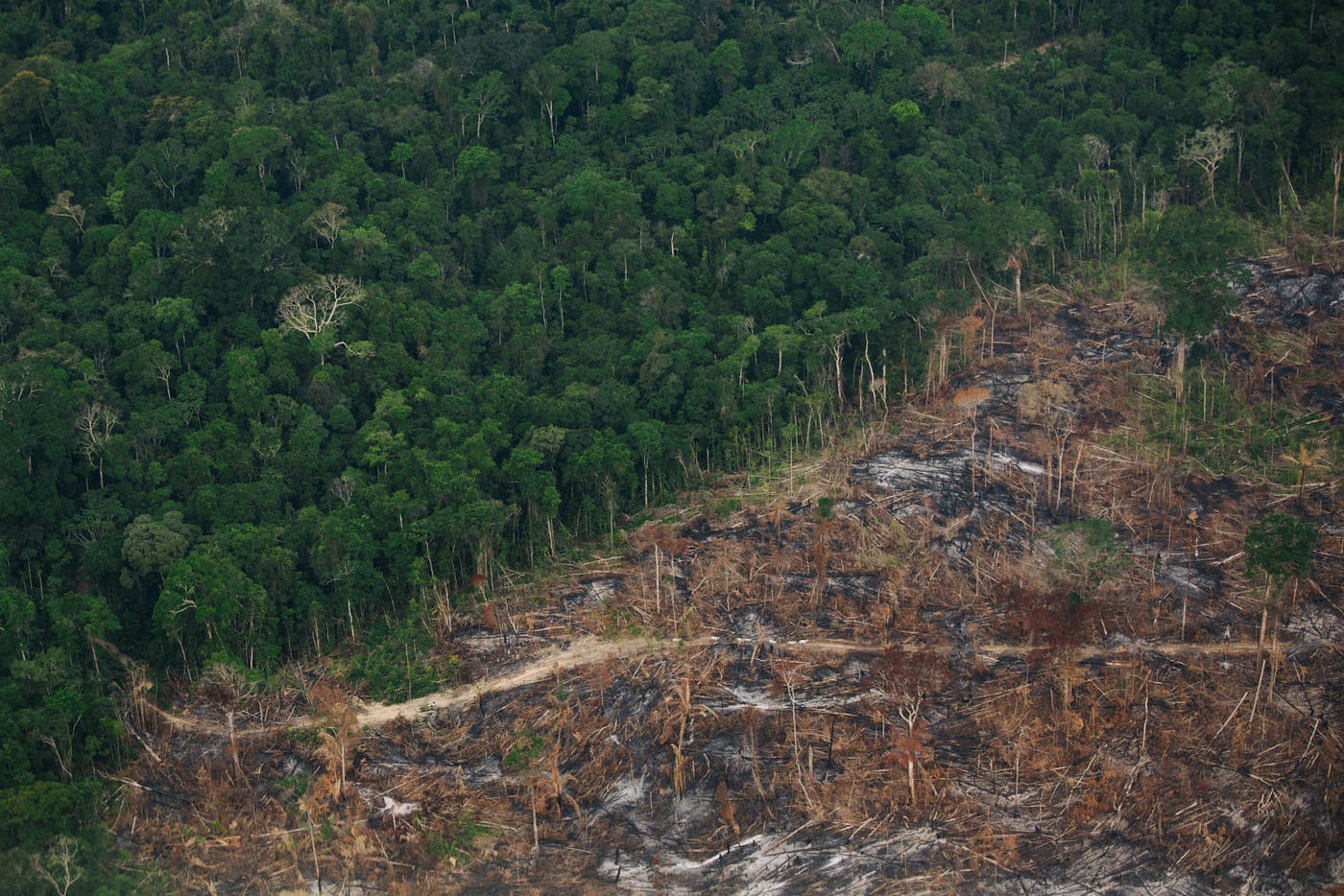 The Amazon is too big to fail. Brazil still can make it!