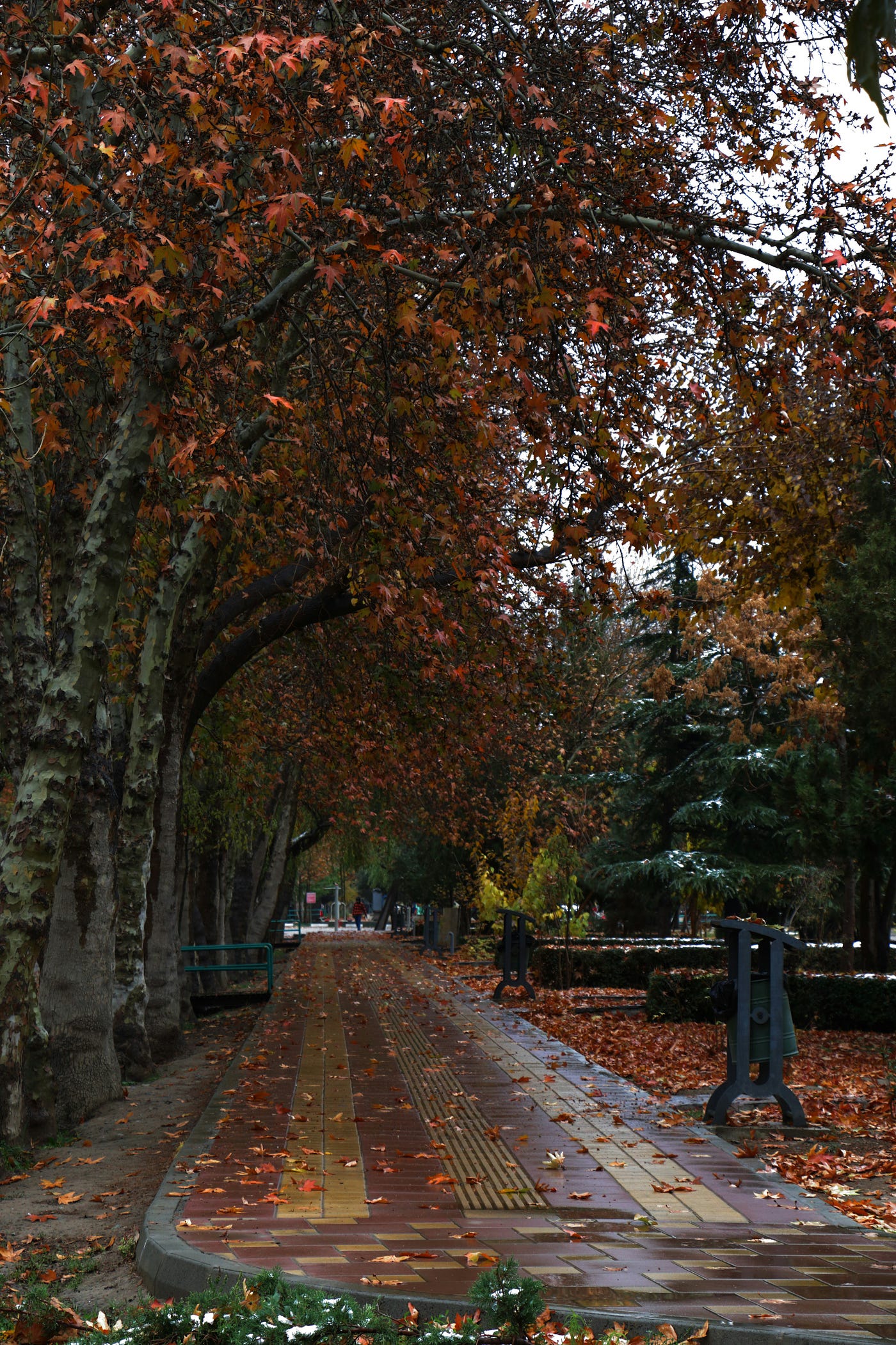Photo by Saa R on Unsplash