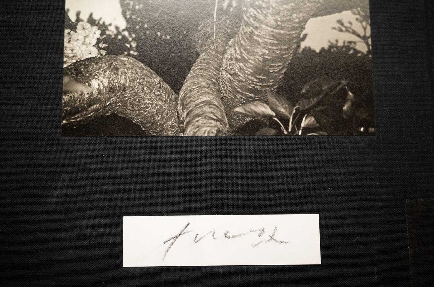 Devouring Photobooks #8 — TOKYOKEI by SUDA ISSEI | by Nowhereman