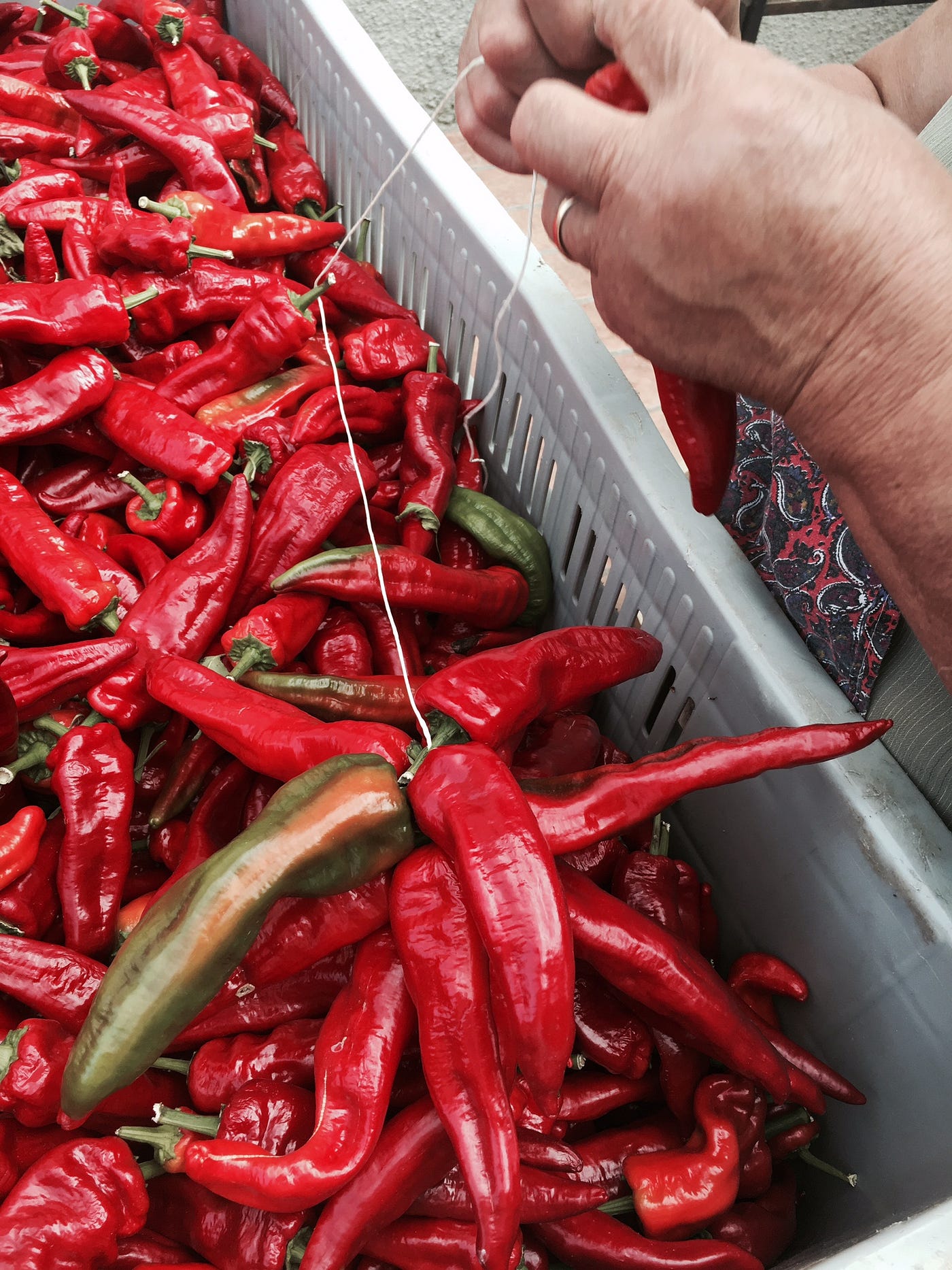 I Peperoni Cruschi: Storia, Essiccazione e Uso in Cucina - Sassi di Matera