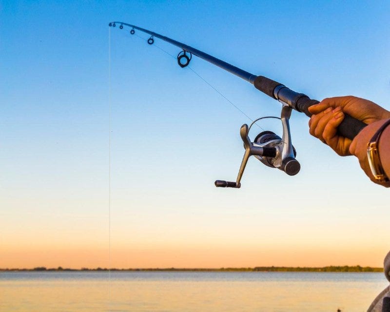 Spinning Rods vs. Casting Rods: Understanding the Differences, by Fishing  Gear Experts