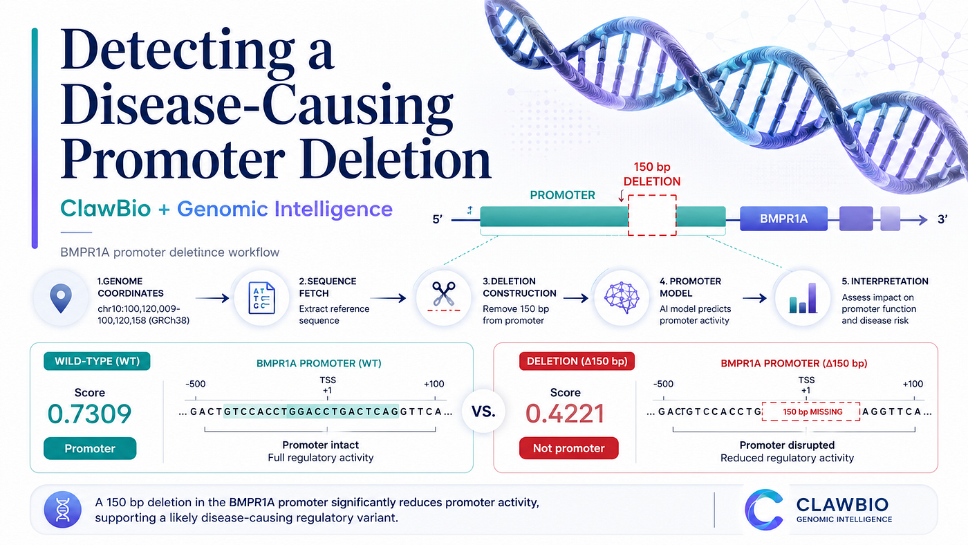 Using ClawBio Agents and Genomic Intelligence to Detect a Disease-Causing Promoter Deletion