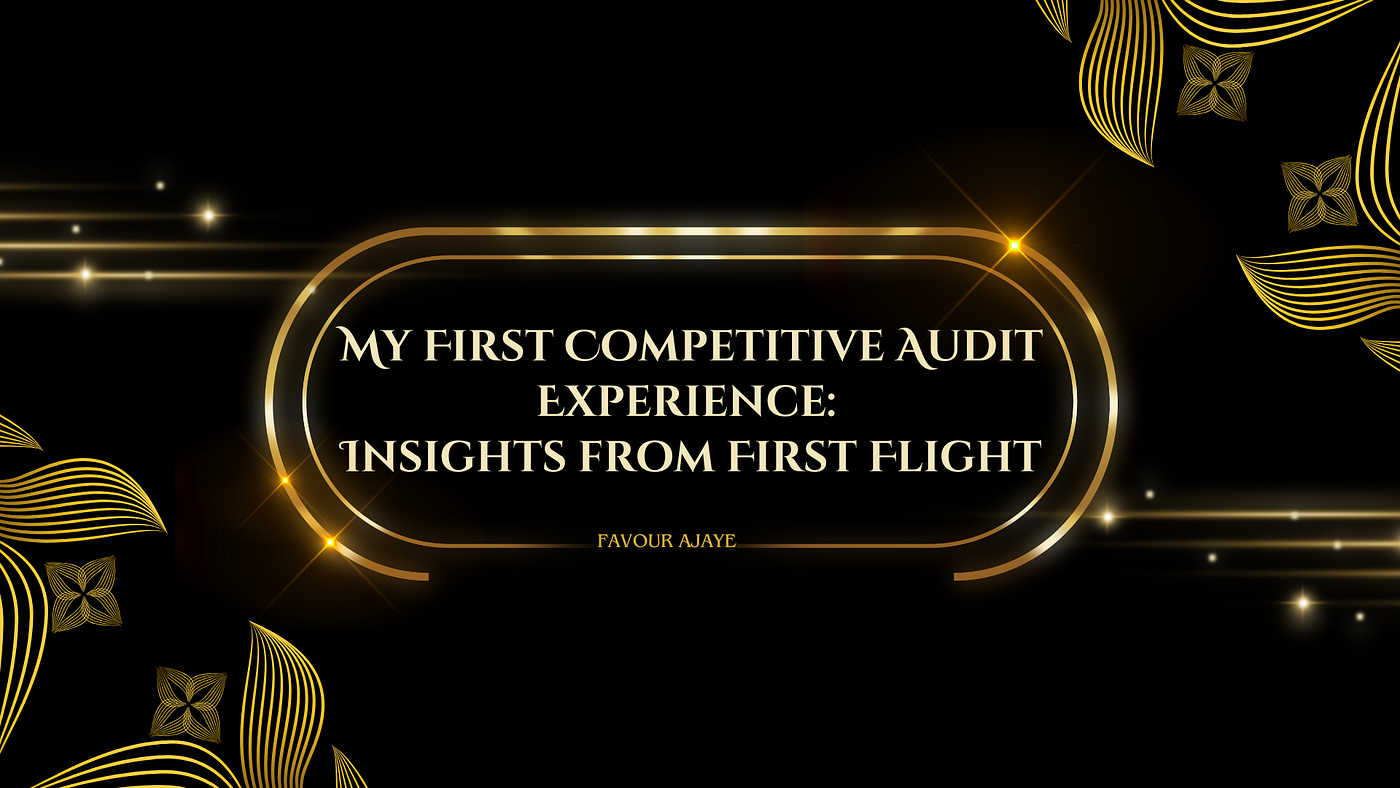 My First Competitive Audit Experience: Insights from First Flight