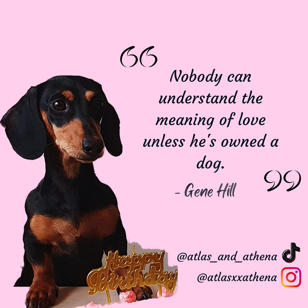 30 Best Dog Mom Quotes - Quotes About Being a Dog Mom, image size:1080x1080