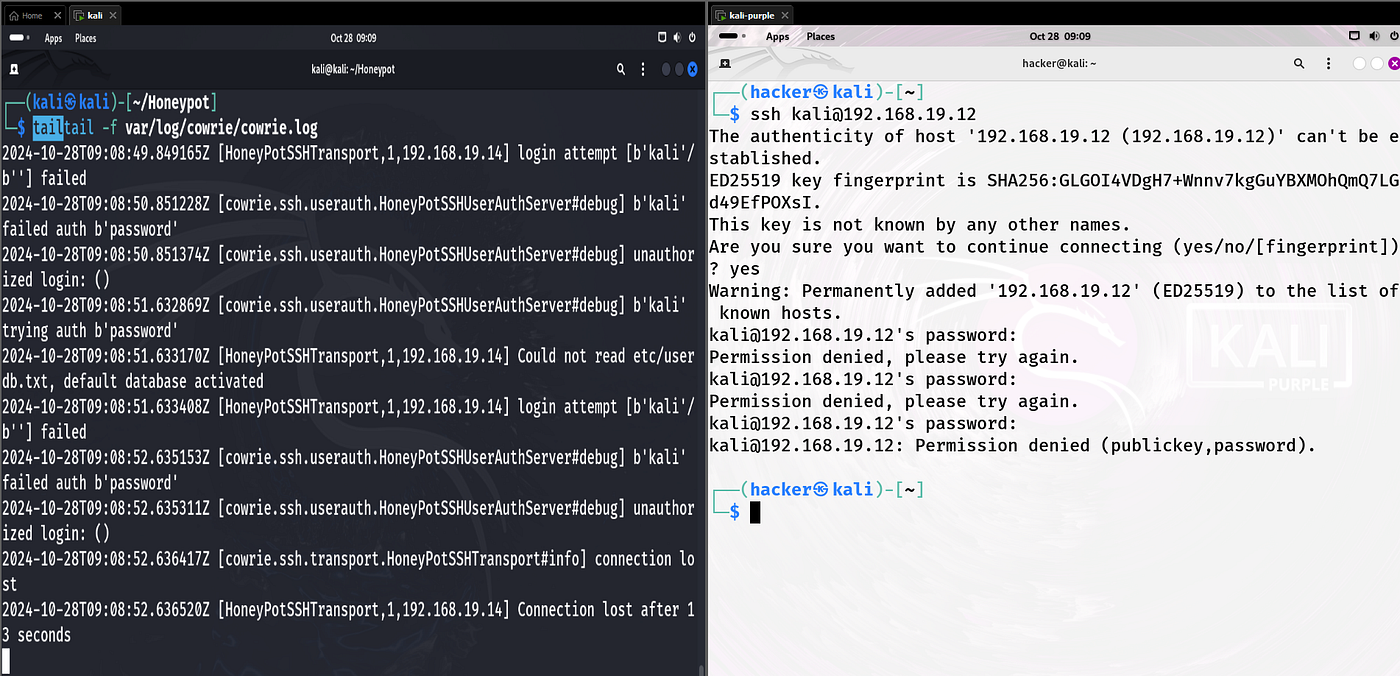 Creating a Simple Honeypot Project on Kali Linux: A Guide with Attack  Simulation | by IritT | Medium