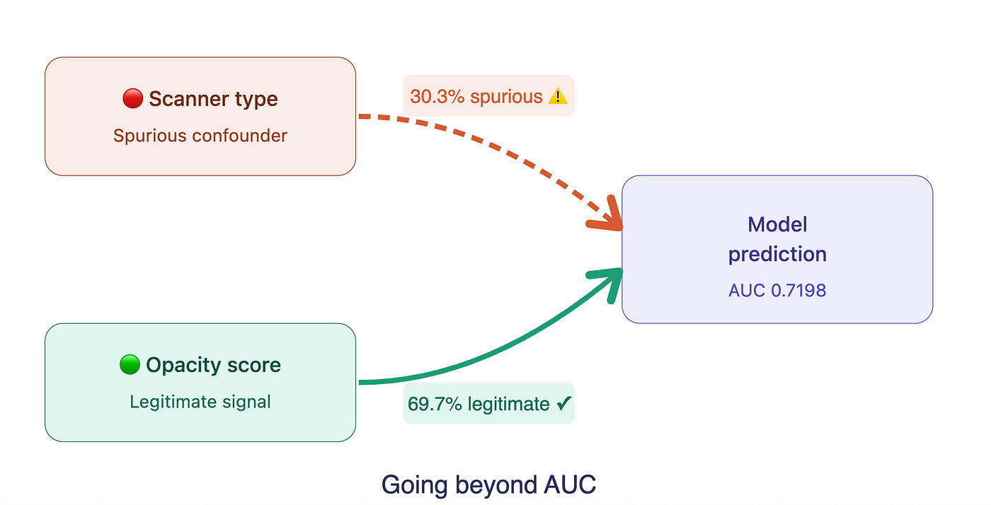 Going beyond AUC : Auditing medical AI models with DoWhy