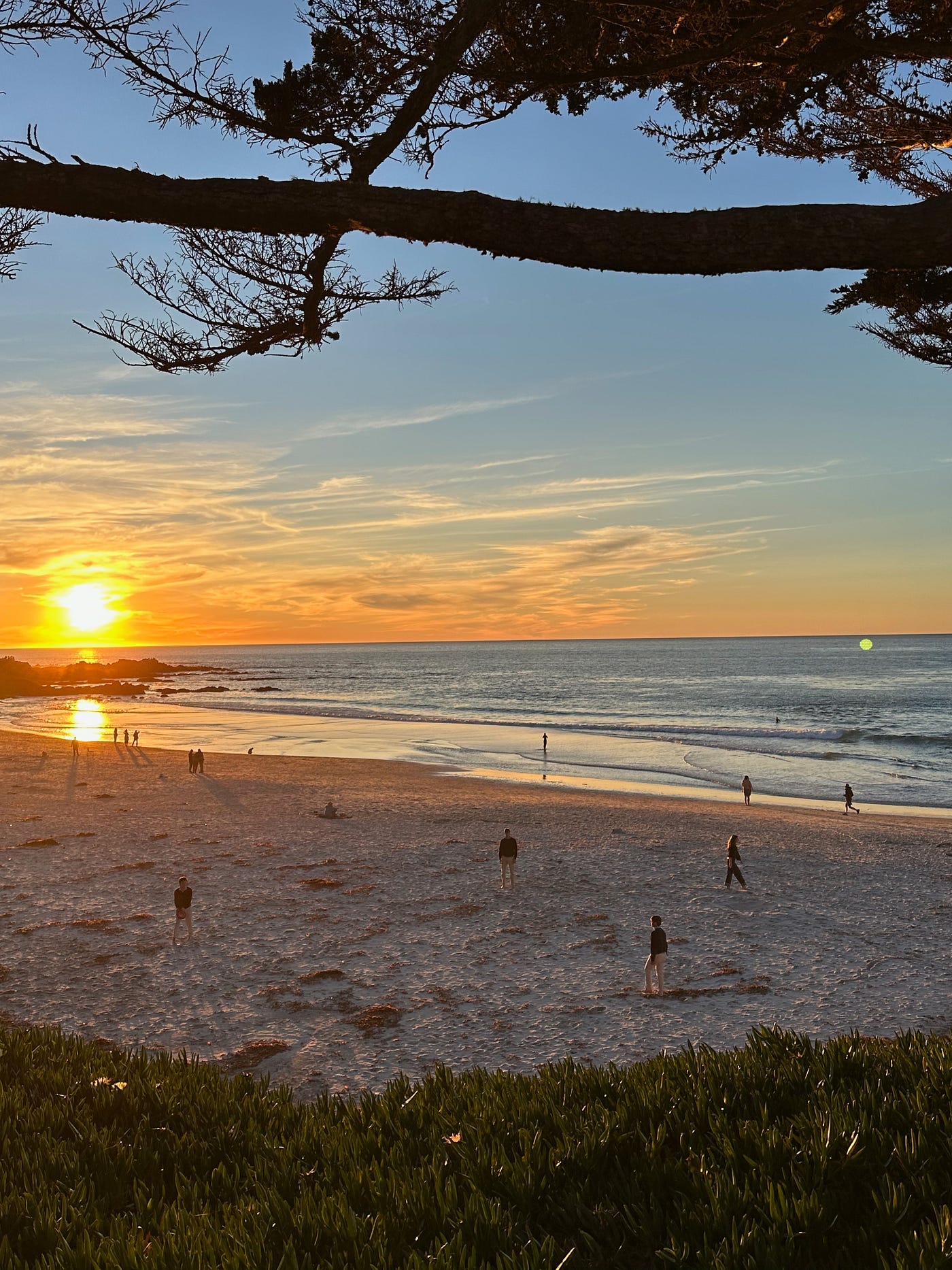 Quaint and Quirky Coastal Town Draws in Millions of Tourists Each Year