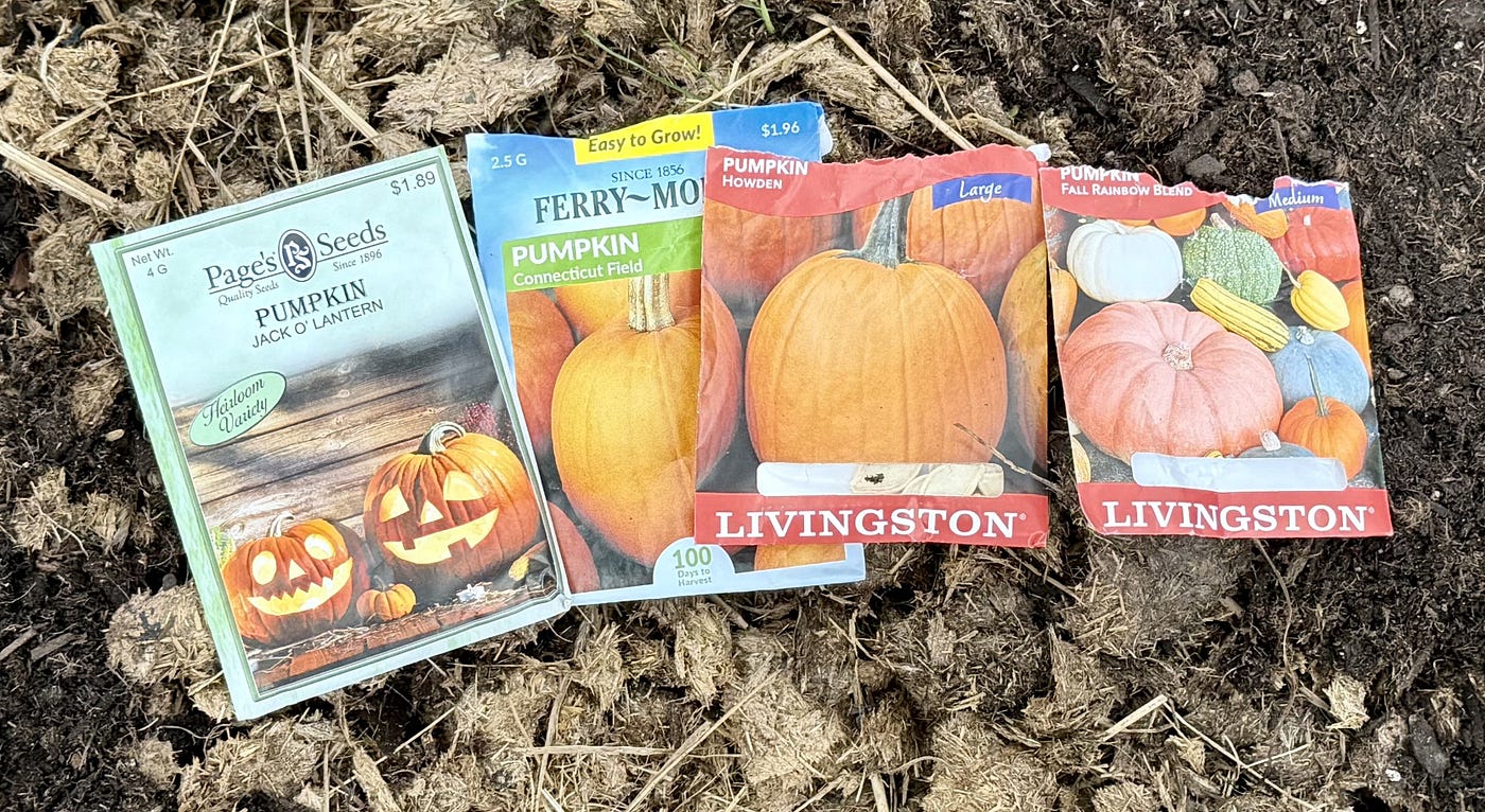 Planting Pumpkins and Some New Varieties of Winter Squash-Episode 16 of Leaf, Wing, and Sun