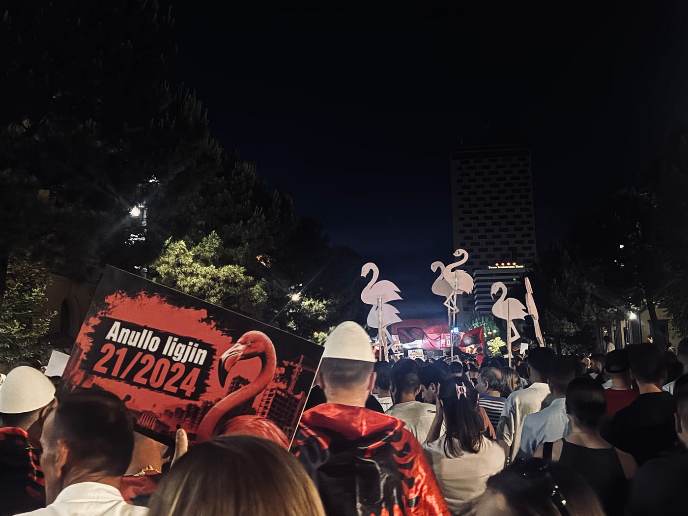 Beyond Flamingos: What Albania’s Environmental Protests Really Reveal