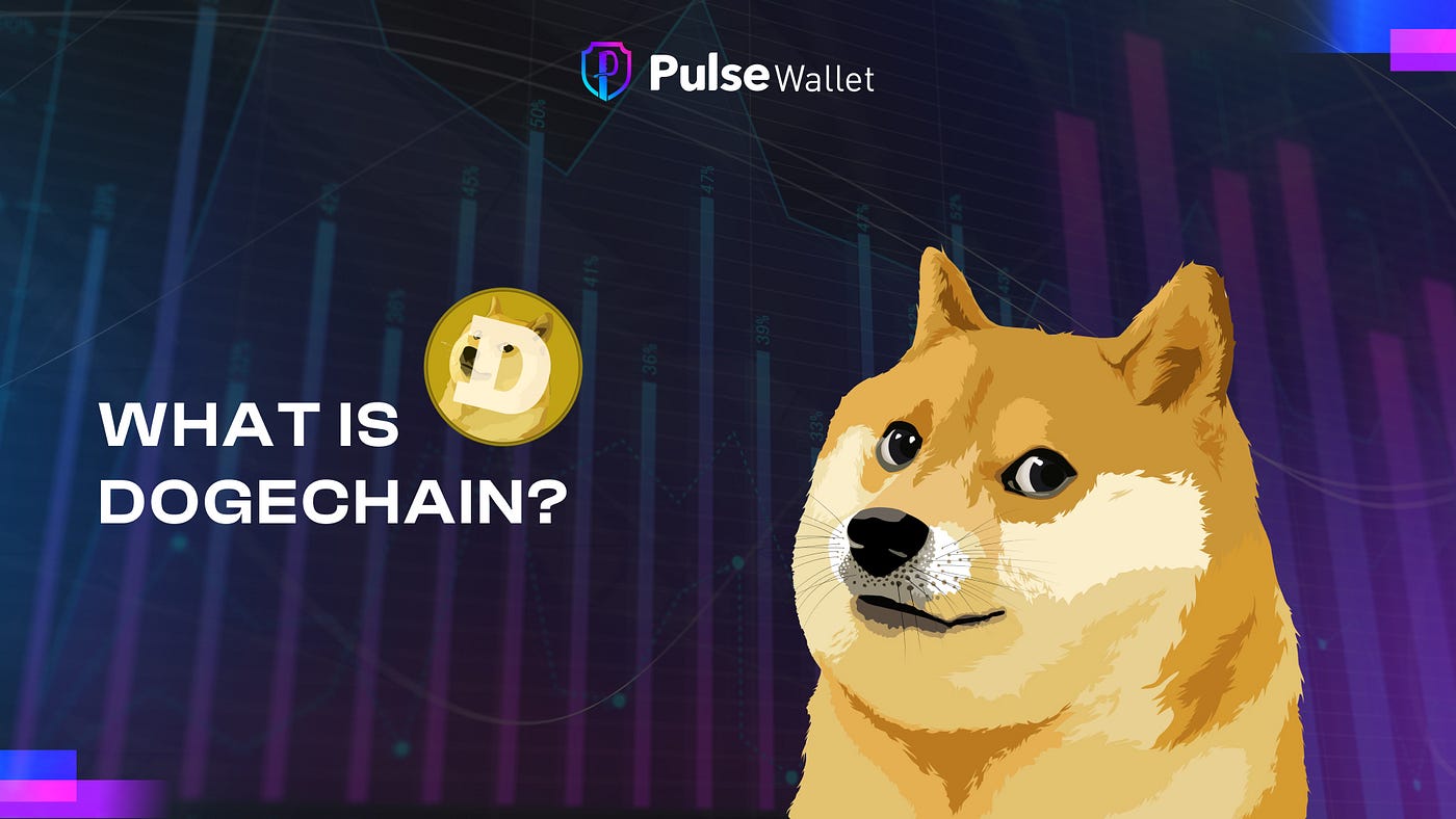 Dogechain: The Future of Dogecoin in the Blockchain Ecosystem | by Pulse  Wallet | Medium