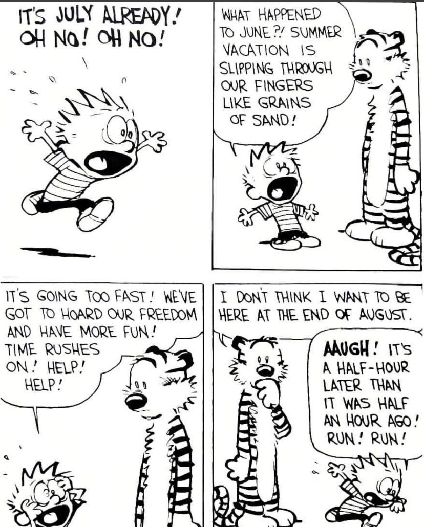 12 Hilarious Calvin & Hobbes Comic Strips With Profound Meaning | by Diksha  A | Through the Skylight | Medium