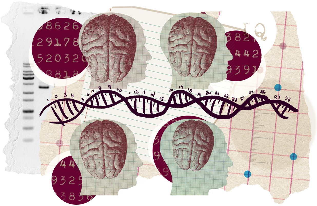 Psychology brain test Diagram