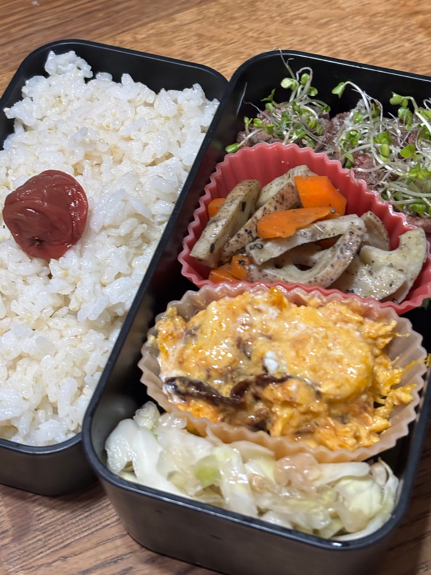 A Japanese Fermented Lunch for Gut Health and Anti-Aging