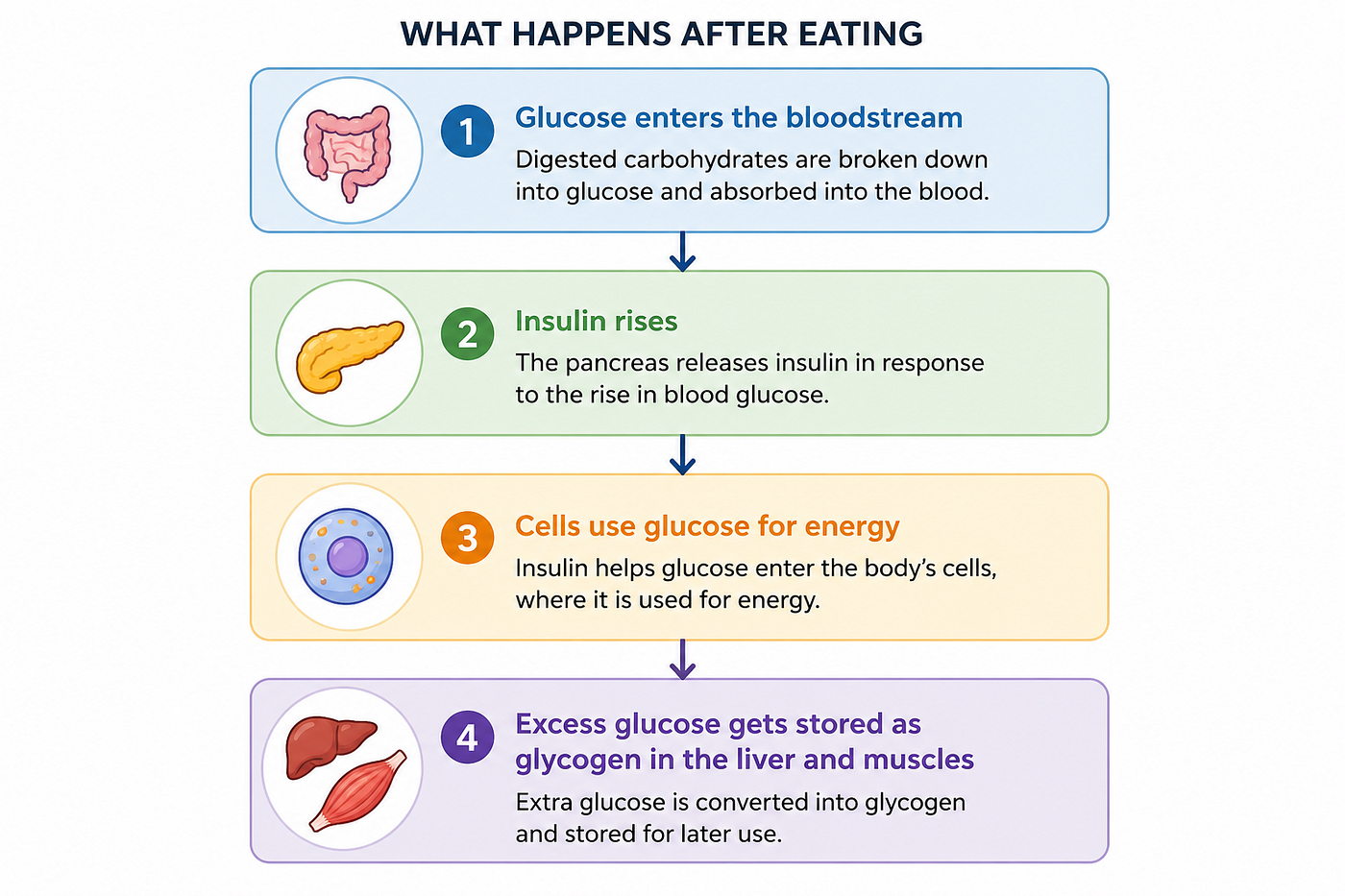 Skipping Meals and weight loss, sounds good, right?
