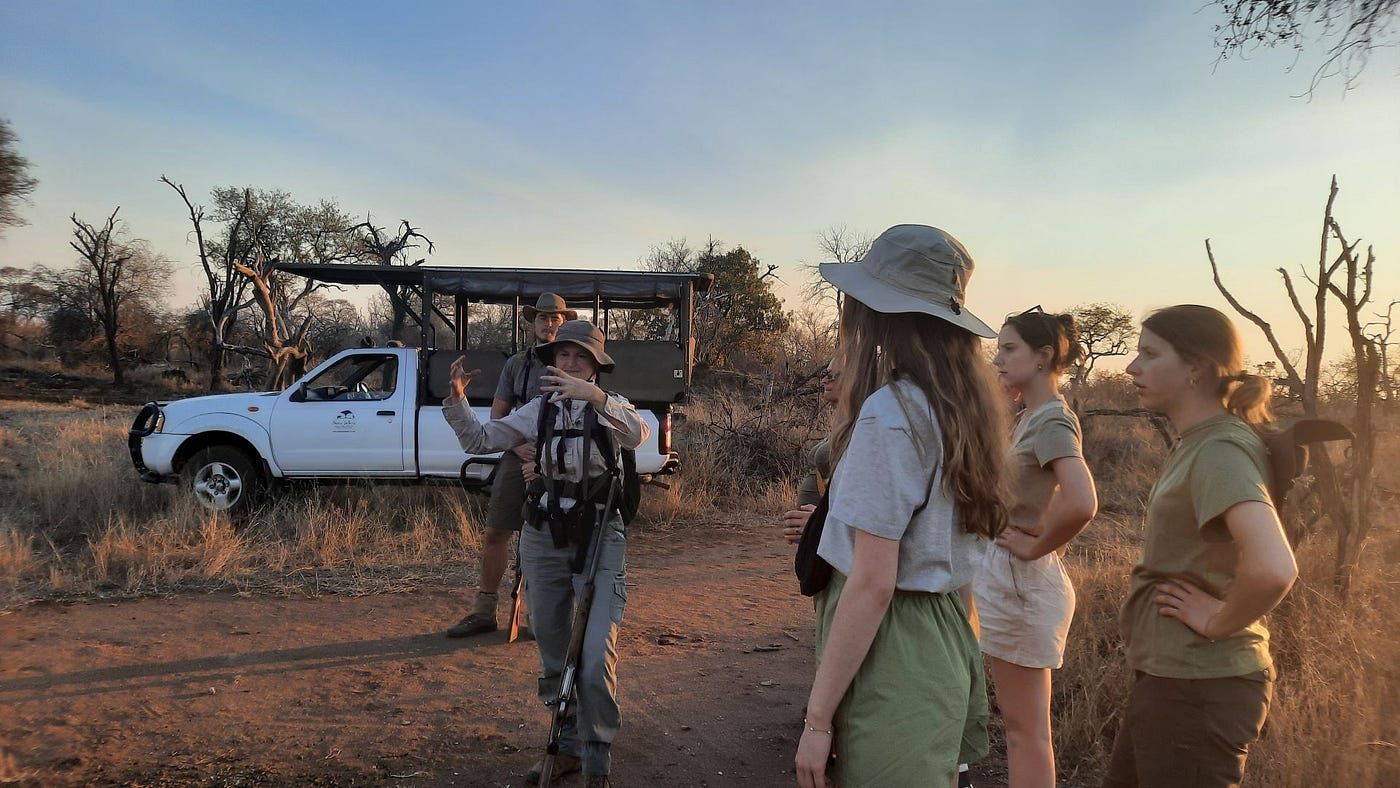 Walking Safari vs Game Drive in Kruger: Two Very Different Ways to Experience the Wild