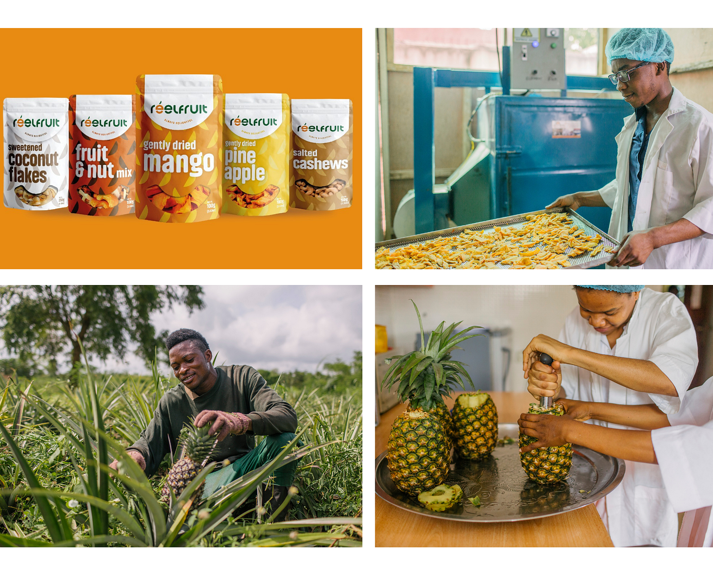 ReelFruit Raises $3 Million Series A Funding to Expand Production with New Factory