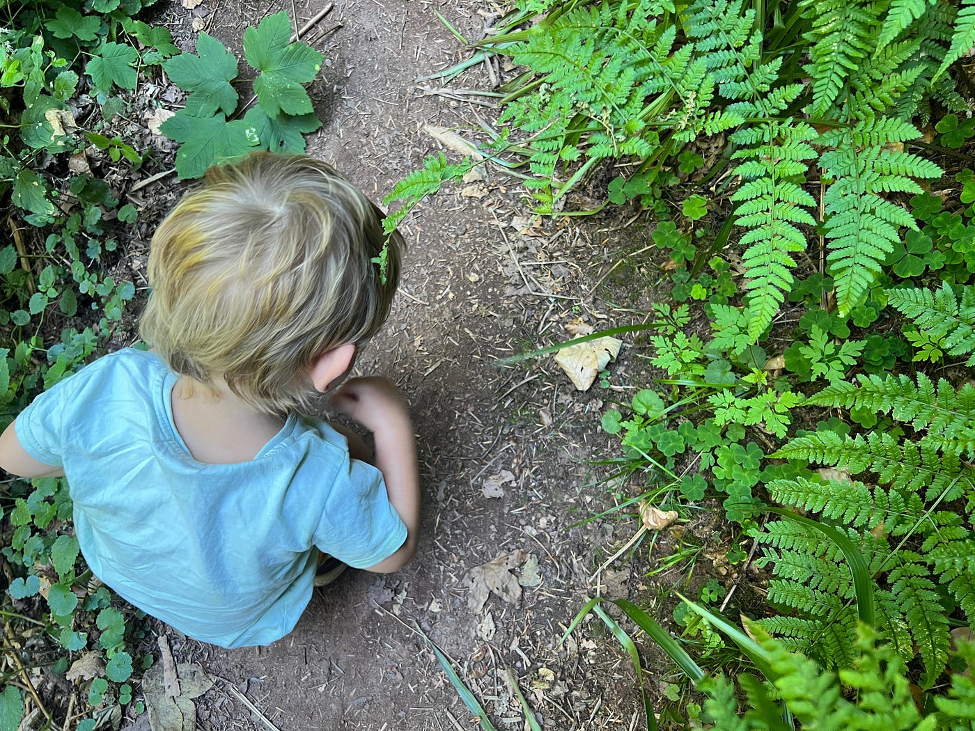 Noticing a beetle on the path and helping him across the heavily trafficked trail. | Photo credit: Anne Bonfert