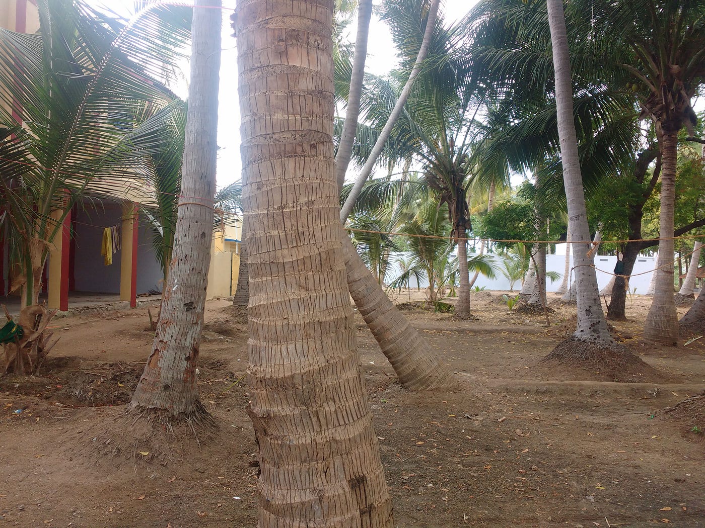 Personal Photo
