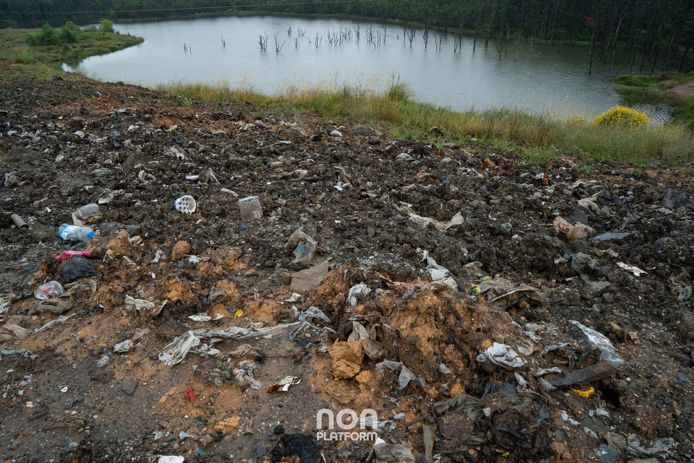 fotoğraf: Mehmet Temel — non platform