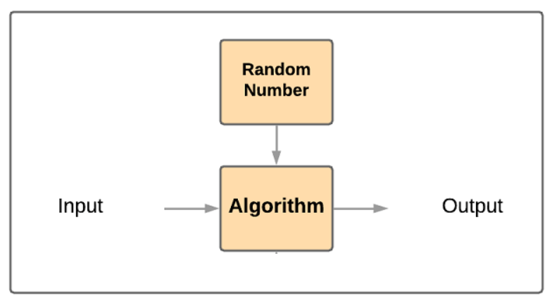 Exploring the Algorithmic Spectrum: From Deterministic to