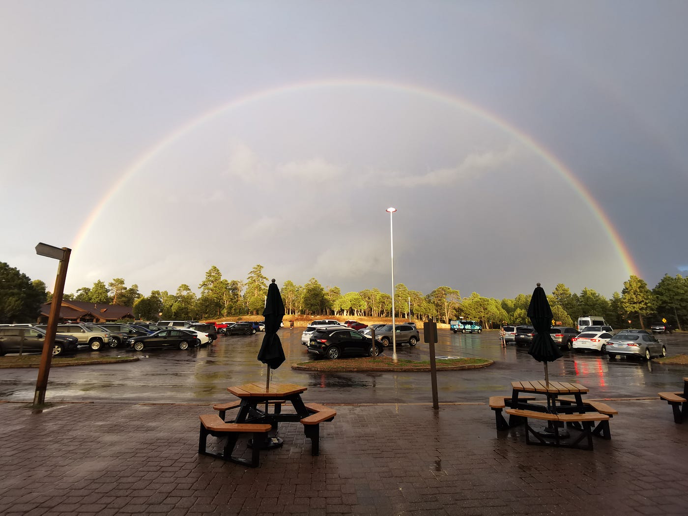 Grand Canyon parking lot — ©Lauri Novak