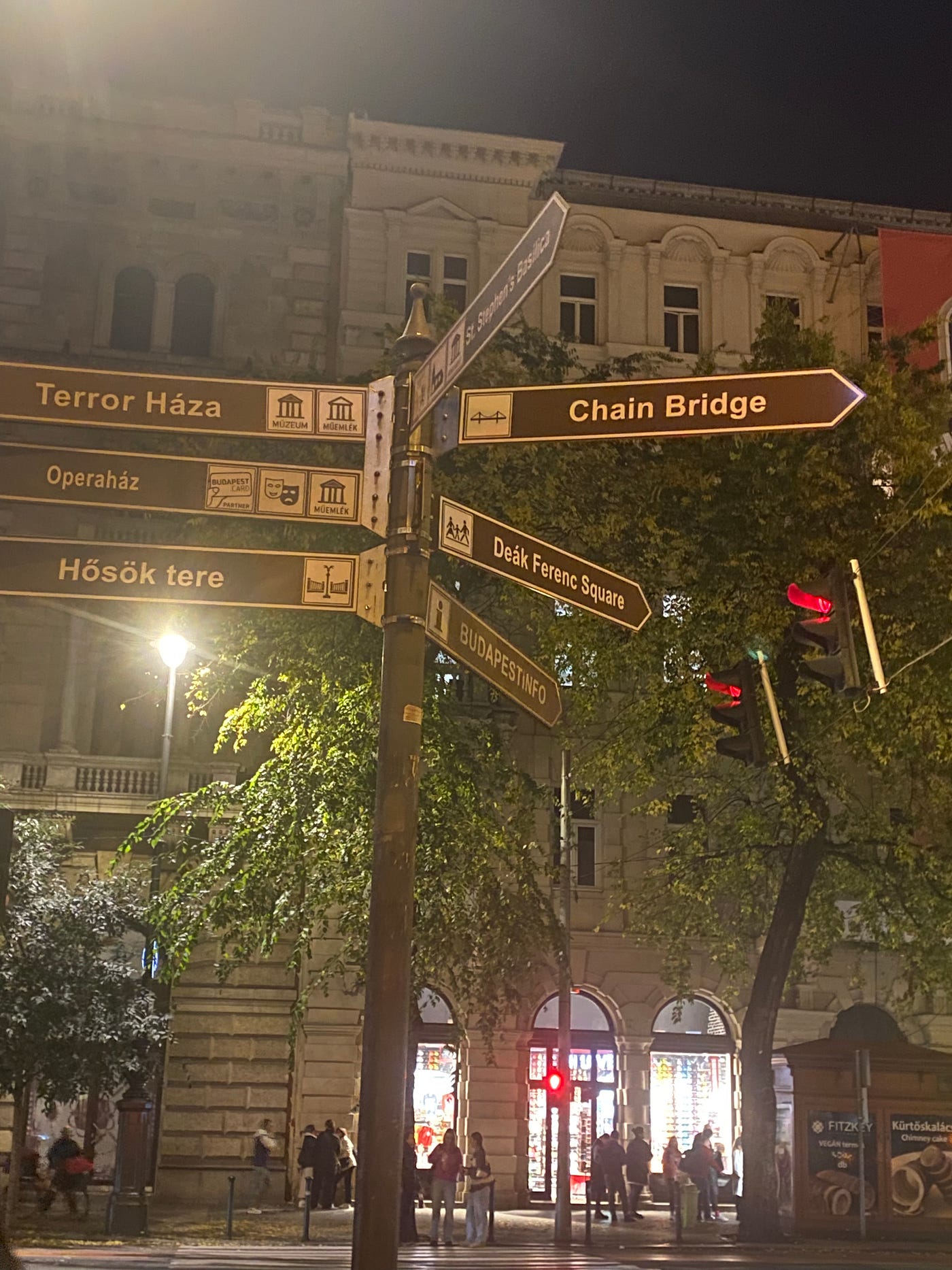 Bridge to Bridge in Budapest