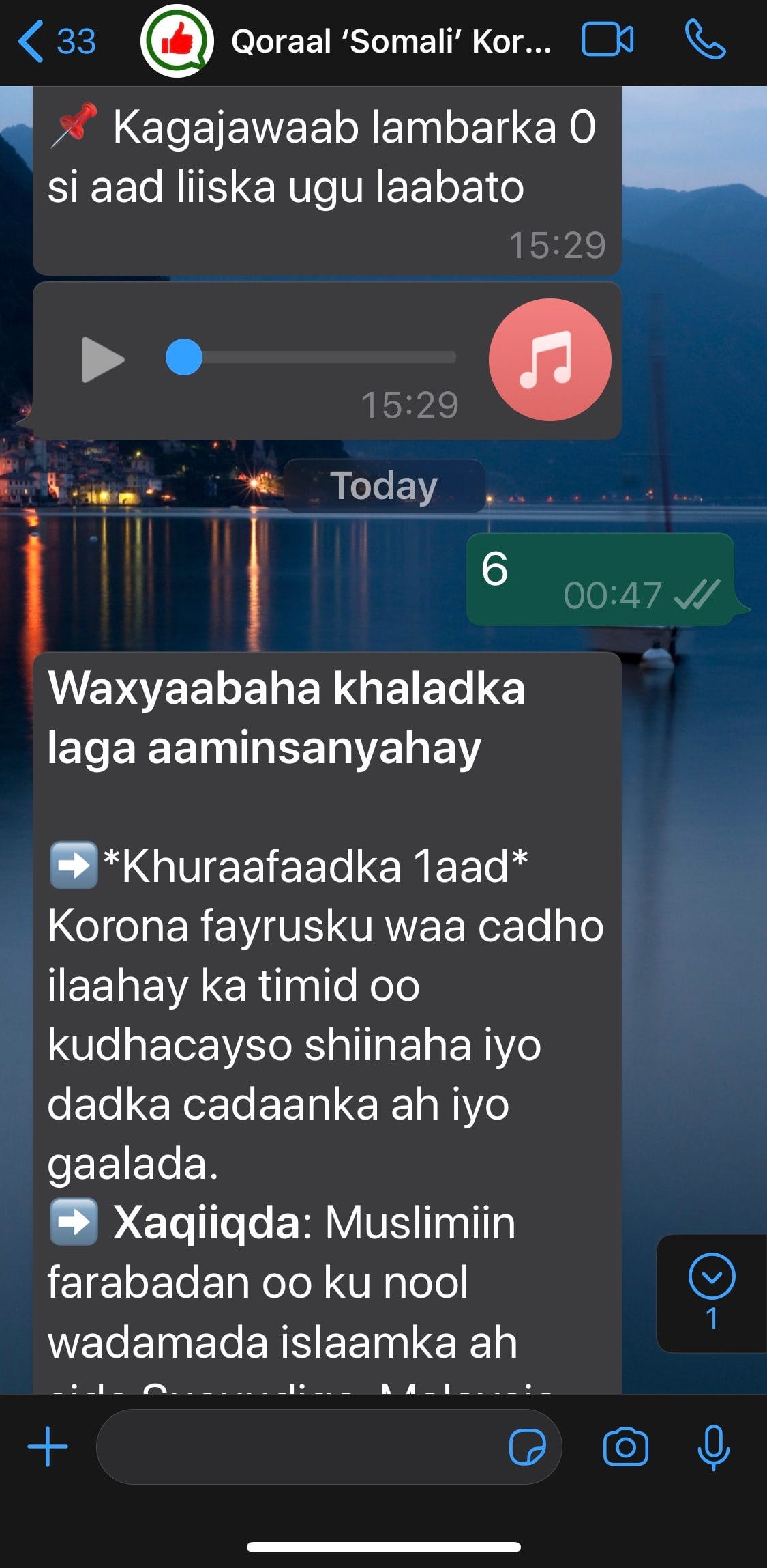 Wasmo somali