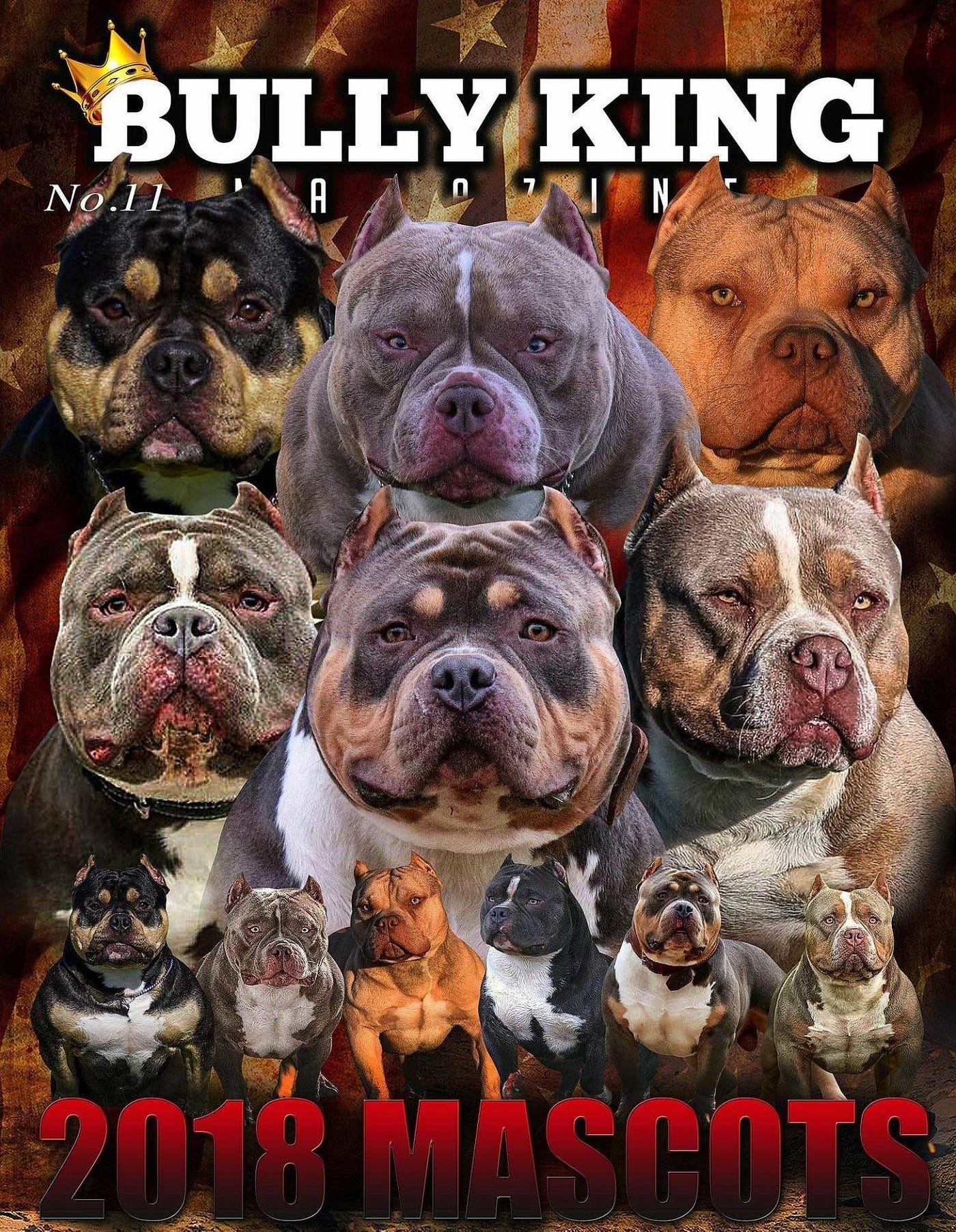 INTRODUCING THE OFFICIAL 2019 2020 BULLY KING MAGAZINE MASCOTS
