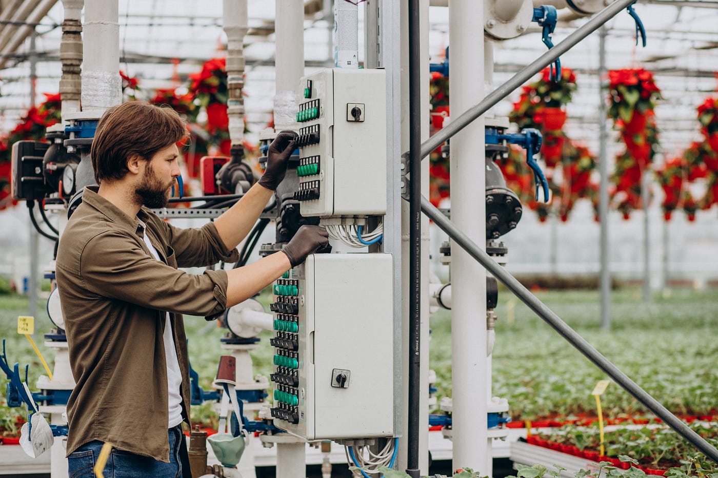 Electrical Engineering Scope in Pakistan: Is it Worth it?