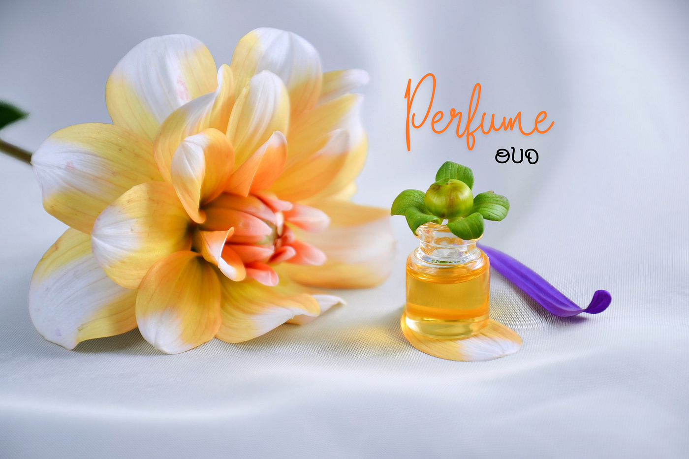 The Enchanting World of Oud Perfume, Bakhoor