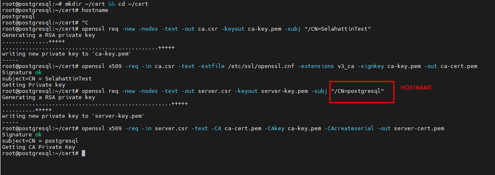 openssl req parameters