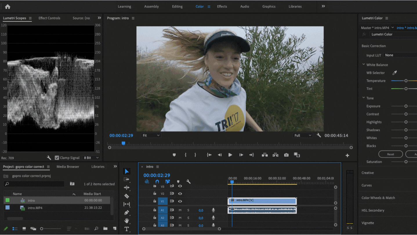 How I Color Correct GoPro Footage: A Starting Point for Beginners | by  Marguerite Faure | Ponder Pond | Medium