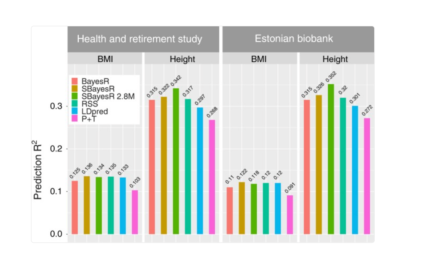 Bayesian Statistics in SBayesR: A Tutorial for Polygenic Score Estimation