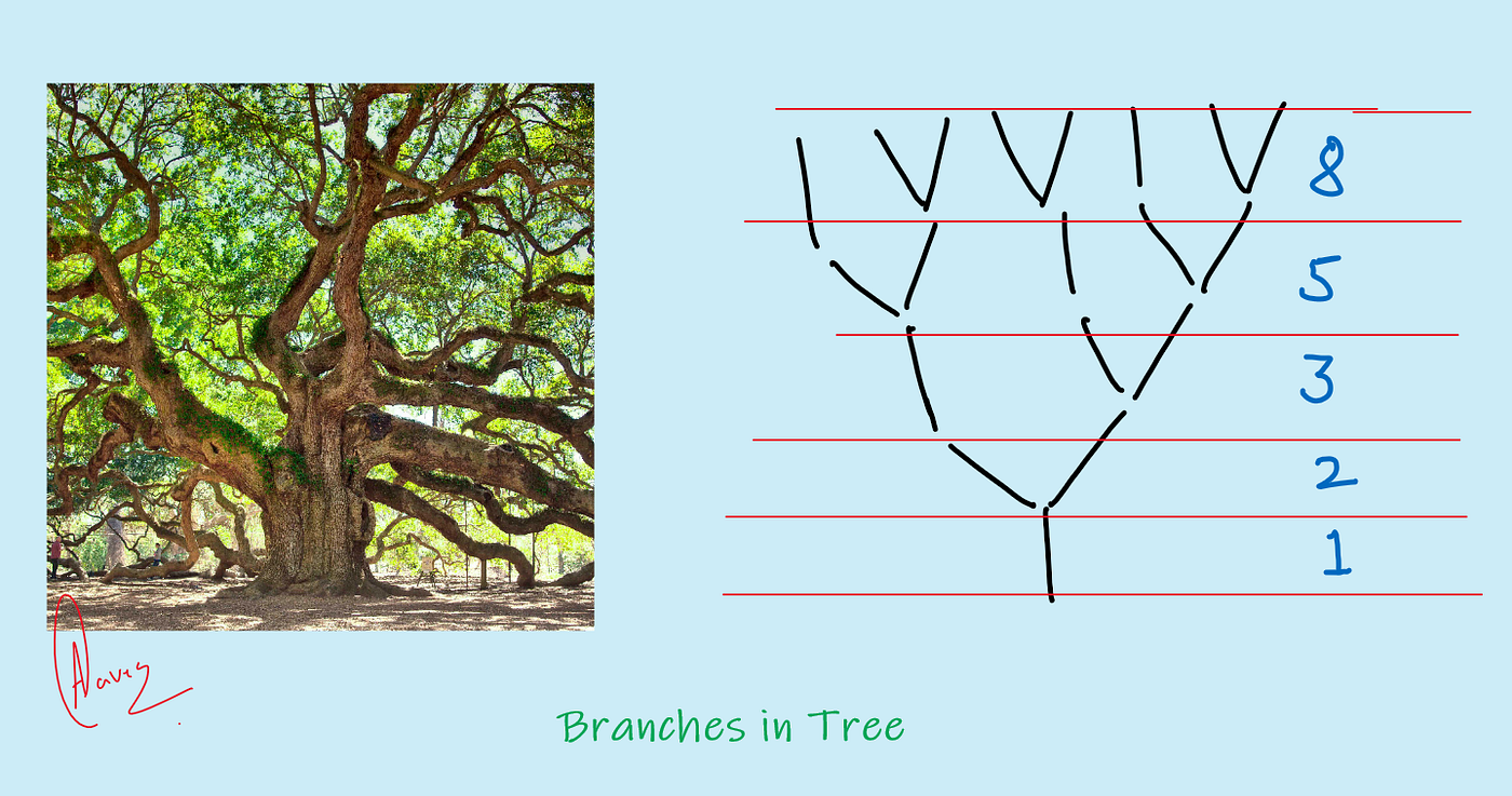 Fibonacci Sequence Tree How Do I Create A Recursive Tree Plot For The