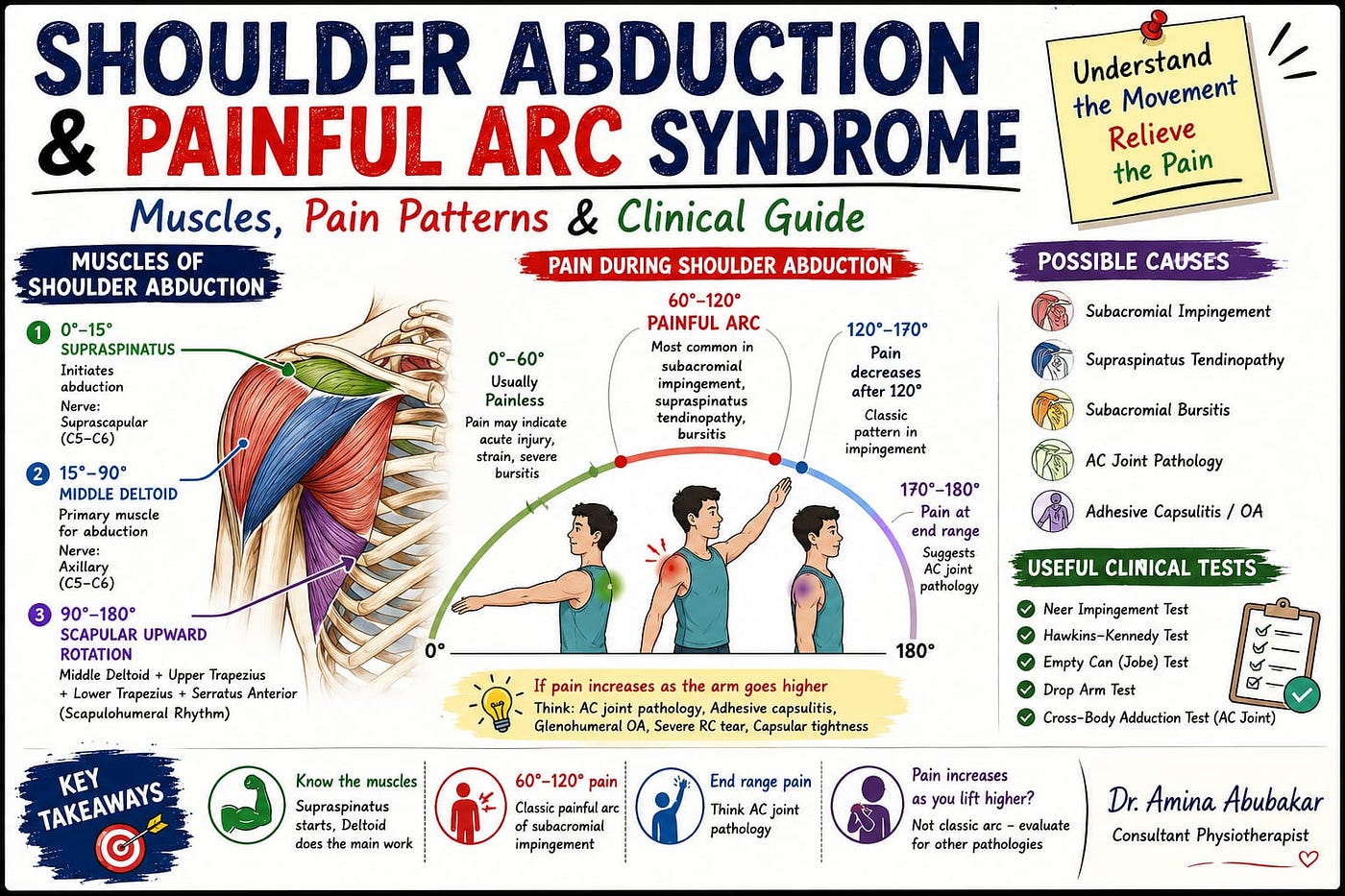 Shoulder Abduction and Painful Arc Syndrome: A Clinical Guide for Physiotherapists