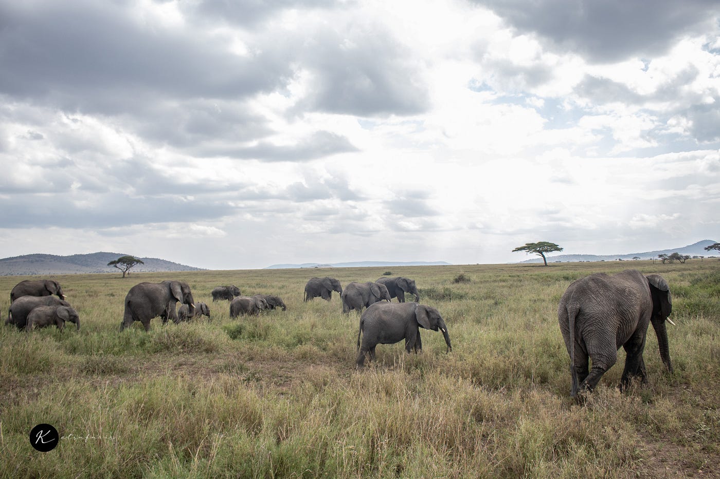 A Complete Guide to Planning Your Trip to Ngorongoro, Serengeti & Beyond