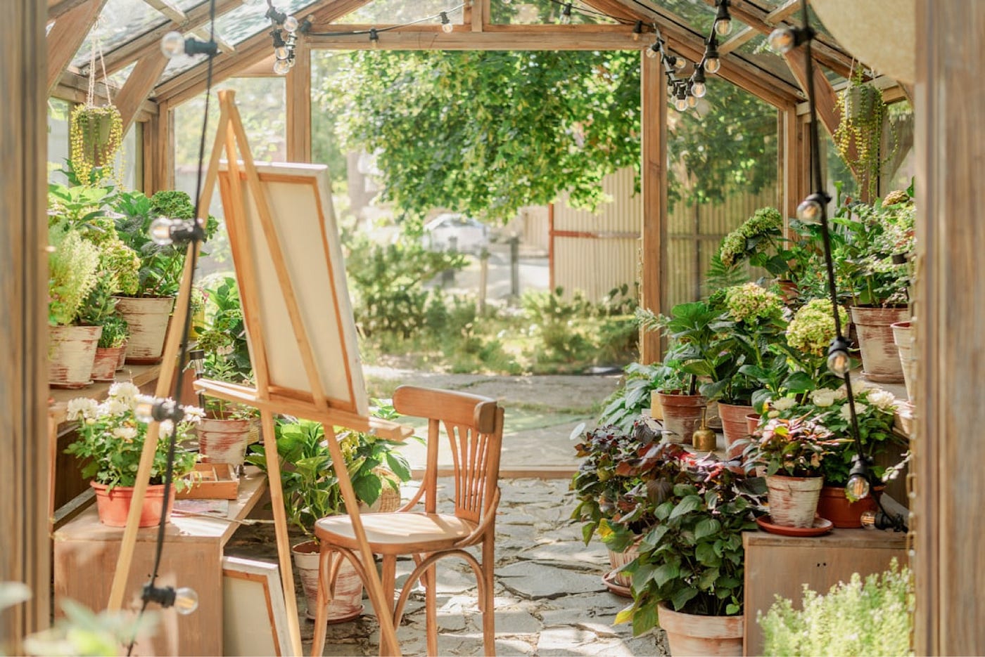 The Garden Before the Butterflies