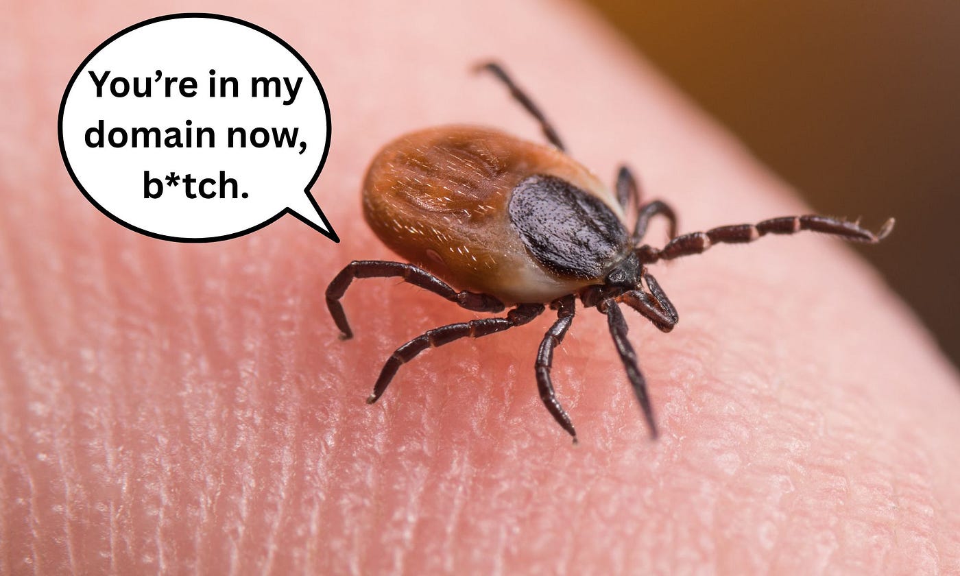 I Am a Sick Tick. I Am a Sassy Tick.