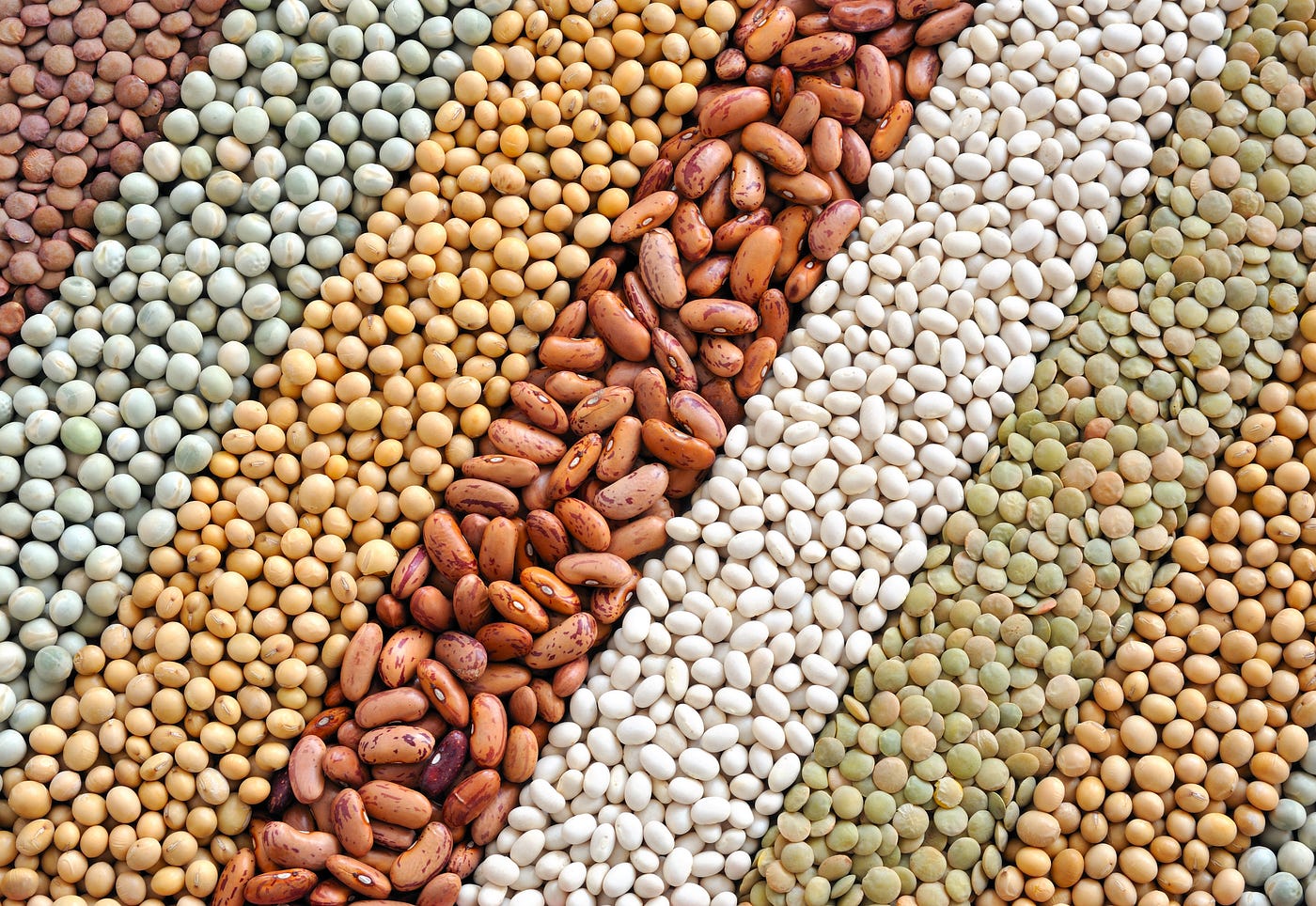 How Beans can Lower Your Cholesterol