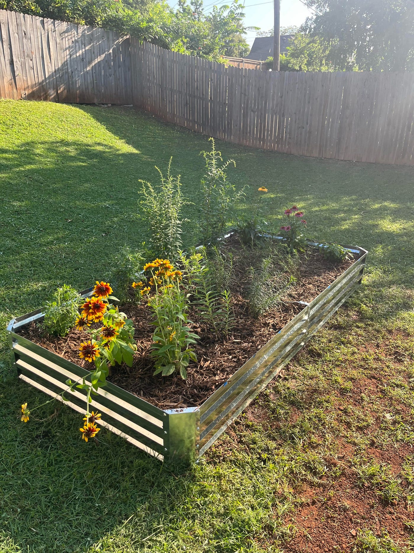 Your Yard Is Not Small. It’s Strategic.