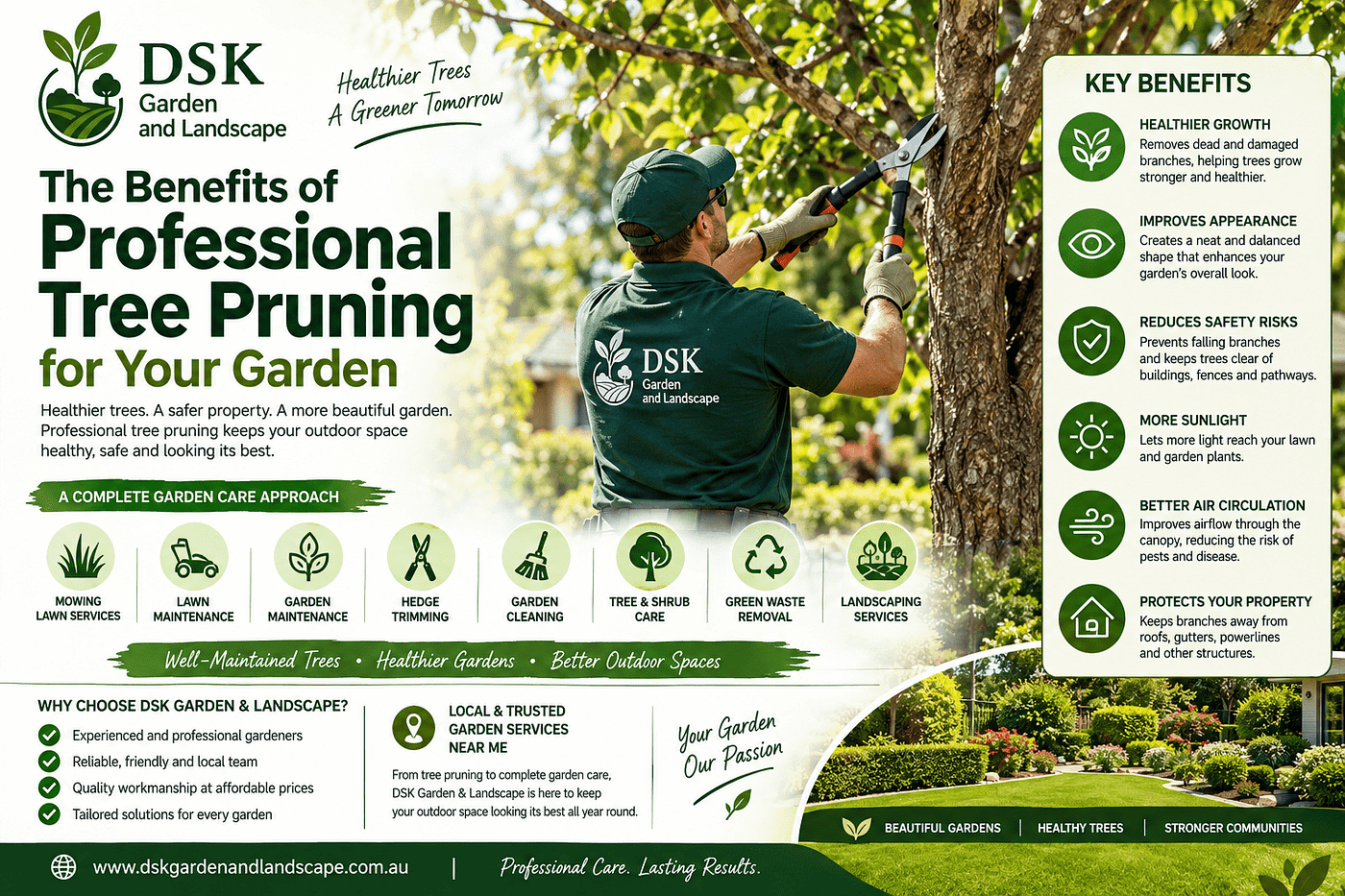 The Benefits of Professional Tree Pruning for Your Garden